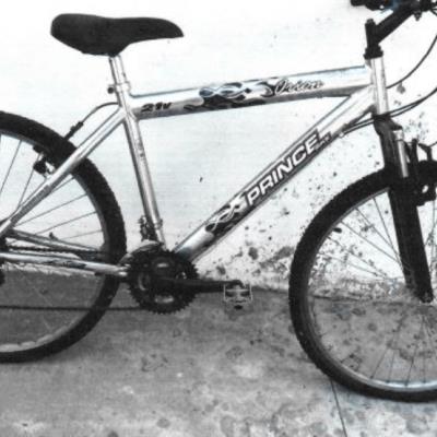 01 Bicicleta, Prince Orion, cor prata, aro 26