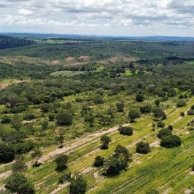 Fazenda de 200ha em Presidente Olegário