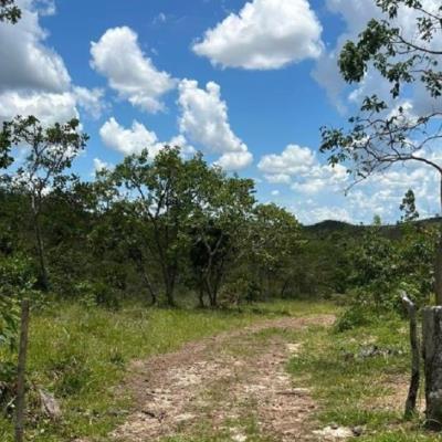 Fazenda de 76 hectares em Presidente Olegário