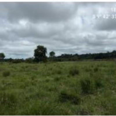 Alto Paraíso/RO | 1 Terreno | Área de 20,9662 ha | Lote 34 | Gleba 68 | Alto Paraíso/RO
