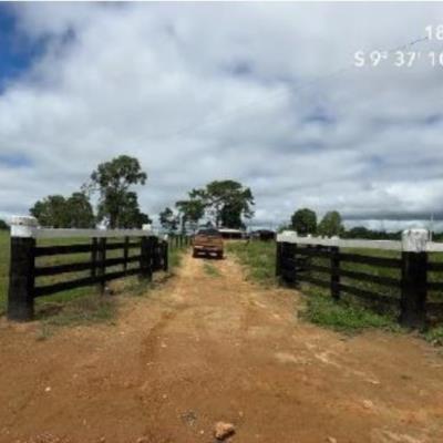 Alto Paraíso/RO | Imóvel Rural Área de 102,6743ha | Lote 83 | Gleba 42 | Alto Paraíso/RO