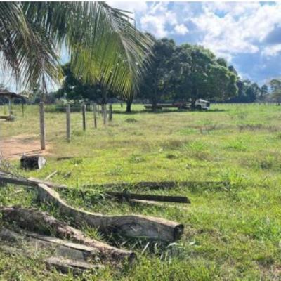 Alto Paraíso/RO | Imóvel Rural Área de 24,2000ha | Lote 52-A1 | Gleba 69 | Alto Paraíso/RO