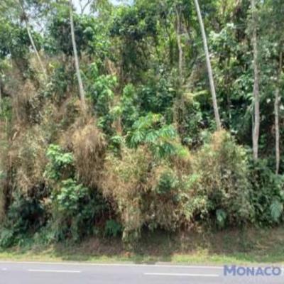 ÁREA DE CONSERVAÇÃO AMBIENTAL | RIBEIRÃO PIRES – SP