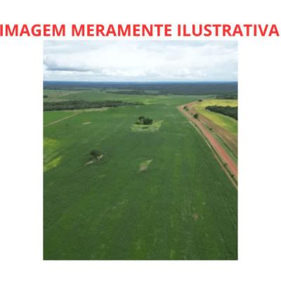 Área Rural 400 Ha – Nova Roma-GO