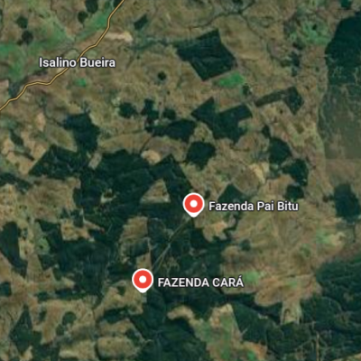 ÁREA RURAL COM 22 HA – SÃO FRANCISCO DE PAULA/RS