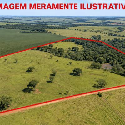 Área Rural de 7,15 Hectares –  Iepê – SP