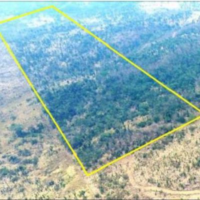 Cacaulândia/RO | 1 Terreno | Área de 24,20 ha | Lote 14B | Gleba 25 | Cacaulândia/RO