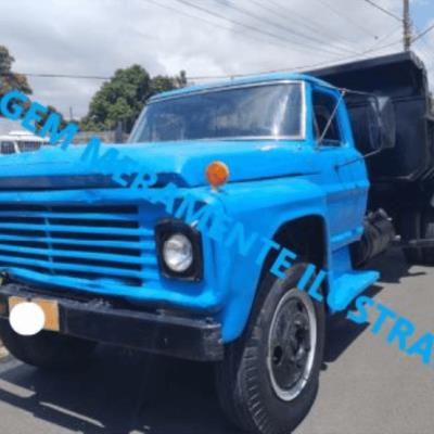 Caminhão Ford/F600, 1978/78