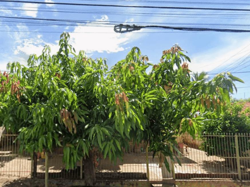 Foto ilustrativa 1 - Casa 364m² – Dracena –  Sp
