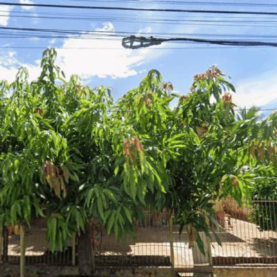 Casa 364m² – Dracena –  Sp