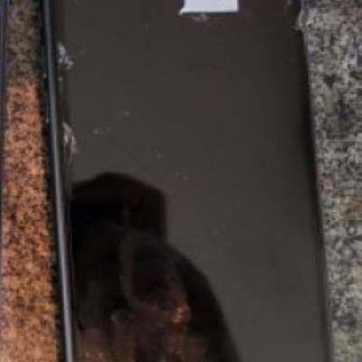 Celular Apple/iPhone 11, cor preto.