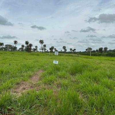 Chácara 02, Quadra 04, do Chacreamento Espelho D’Água, situada na Rua E, em Abaeté/MG, com área de 1.013,50 m², matrícula nº 29.033 do CRI de Abaeté/MG.