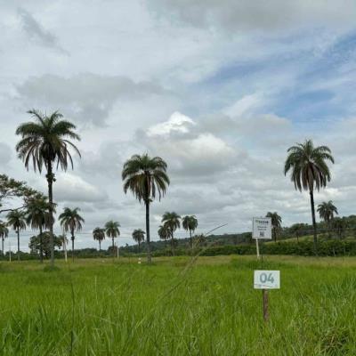 Chácara 04, Quadra 06, localizada na Rua F, no Chacreamento Espelho D’Água, em Abaeté/MG, com área total de 1.000,00 m², matrícula nº 29.108 do CRI de Abaeté/MG.