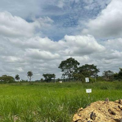 Chácara 10, Quadra 08, localizada na Rua G, no Chacreamento Espelho D’Água, em Abaeté/MG, com área total de 1.000,00 m², matrícula. nº 29.189 do CRI de Abaeté/MG