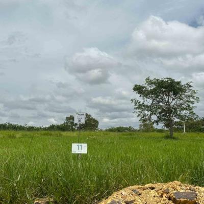 Chácara 11, Quadra 08, localizada na Rua G, no Chacreamento Espelho D’Água, em Abaeté/MG, com área total de 1.000,00 m², matrícula nº 29.190 do CRI de Abaeté/MG.