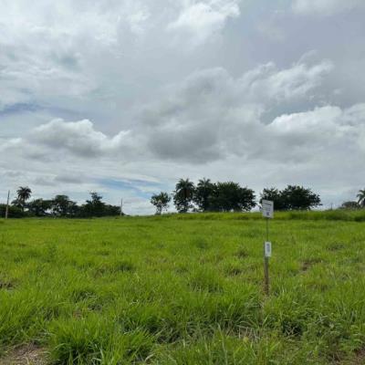 Chácara 18, Quadra 04, do Chacreamento Espelho D’Água, situada na Rua F, em Abaeté/MG, com área de 1.000,00 m², matrícula nº 29.049 do CRI de Abaeté/MG.