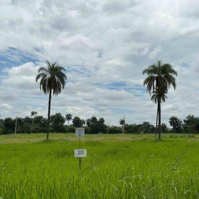 Chácara 20, Quadra 06, localizada na Rua G, no Chacreamento Espelho D’Água, em Abaeté/MG, com área total de 1.000,00 m², matrícula nº 29.124 do CRI de Abaeté/MG.