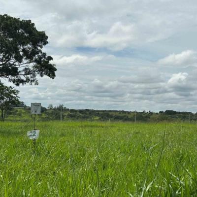 Chácara 22, Quadra 07, localizada na Rua G, no Chacreamento Espelho D’Água, em Abaeté/MG, com área total de 1.000,00 m², matrícula nº 29.160 do CRI de Abaeté/MG.