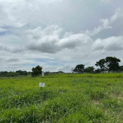 Chácara 25, Quadra 04, do Chacreamento Espelho D’Água, situada na Rua F, em Abaeté/MG, com área de 1.000,00 m², matrícula nº 29.056 do CRI de Abaeté/MG.