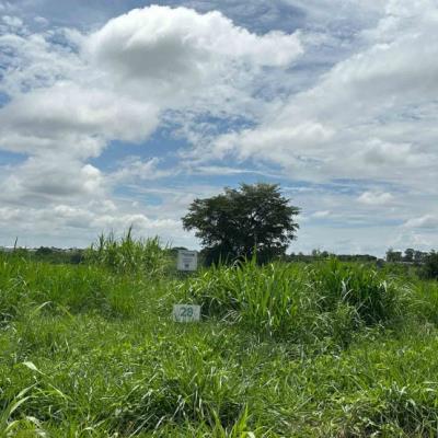 Chácara 28, Quadra 07, localizada na Rua G, no Chacreamento Espelho D’Água, em Abaeté/MG, com área total de 1.000,00 m², matrícula nº 29.166 do CRI de Abaeté/MG.