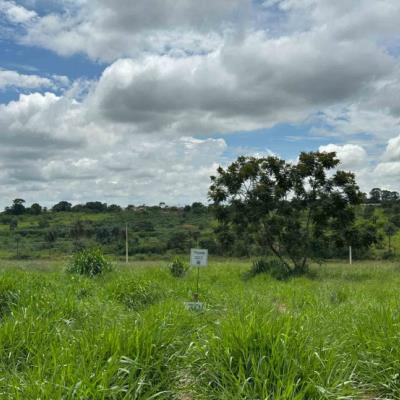 Chácara 30, Quadra 05, do Chacreamento Espelho D’Água, situada na Rua F, em Abaeté/MG, com área de 1.000,00 m², matrícula nº 29.094 do CRI de Abaeté/MG.
