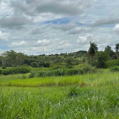 Chácara 37, Quadra 05, localizada na Rua F, no Chacreamento Espelho D’Água, em Abaeté/MG, com área total de 1.000,00 m², matrícula nº 29.101 do CRI de Abaeté/MG.