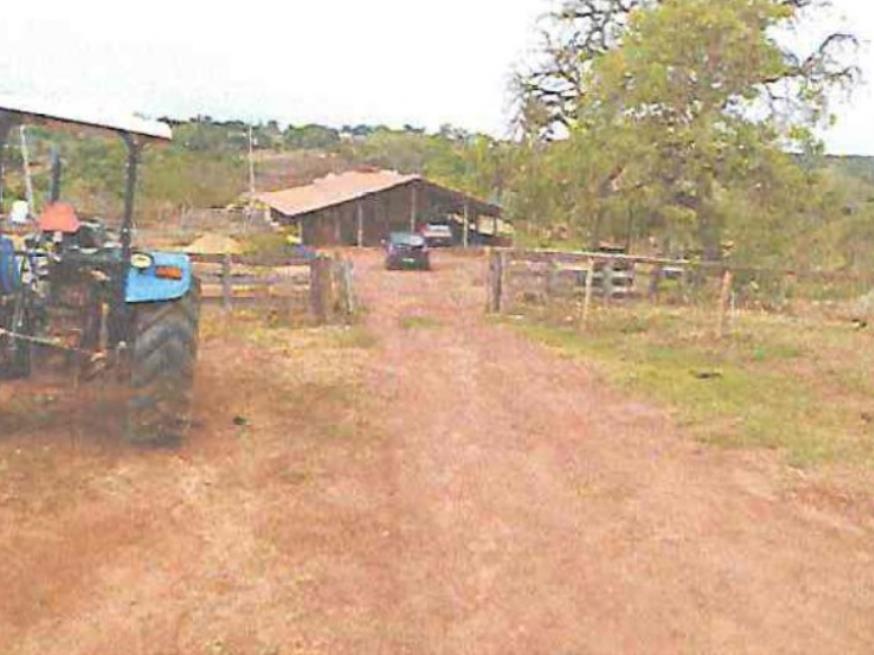 Foto ilustrativa 3 - Fazenda de 35.25ha em Bom Sucesso
