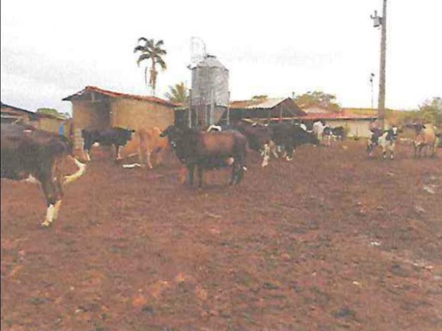 Foto ilustrativa 4 - Fazenda de 35.25ha em Bom Sucesso