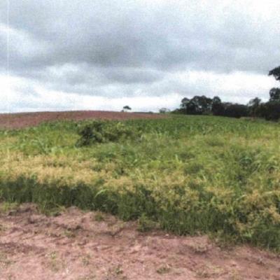 Fazenda Pedras de 29,9481 ha