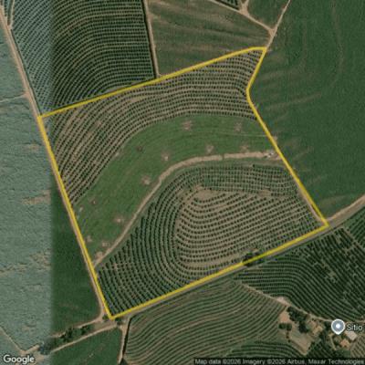 Fazenda Santa Maria – 169.400m² – Aparecida de Monte Alto/SP