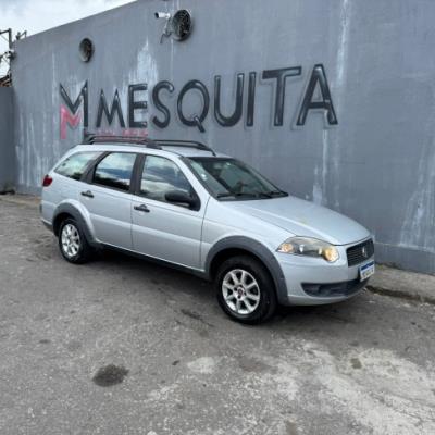FIAT PALIO WEEKEND TREKKING 2010 – PRATA – FLEX
