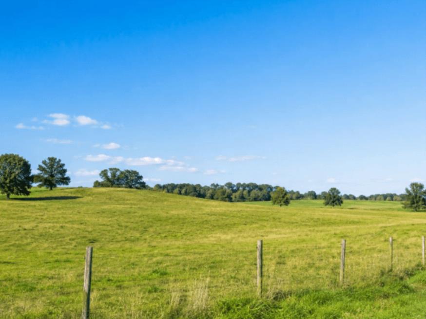 Foto ilustrativa 1 - Fração Ideal (25%) de Sítio Rural 17,71 ha – Iepê – Sp