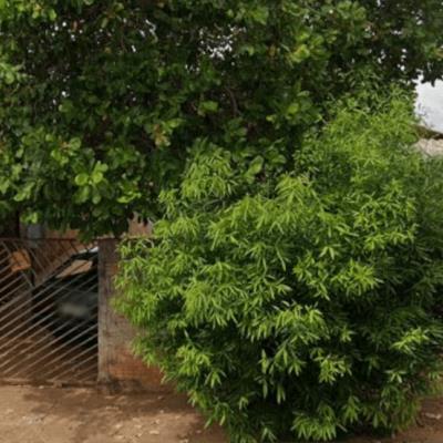 Imóvel residencial com A.T 345,00m²