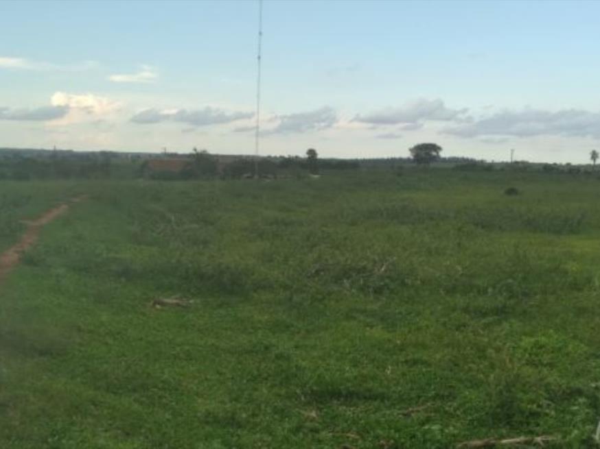 Foto ilustrativa 1 - Imóvel Rural com 4,50012 alqueires