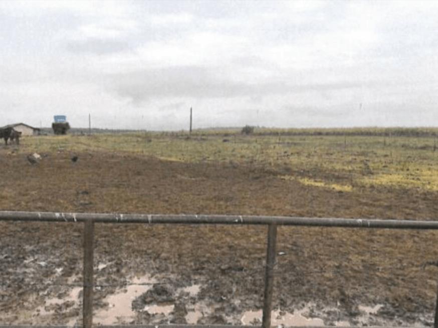 Foto ilustrativa 5 - Imóvel Rural com 4,50012 alqueires