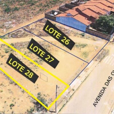 IMÓVEL URBANO: Um lote de terreno de nº 06, da Quadra 16, medindo 408,00m² (quatrocentos e oito metros quadrados), situado nesta cidade de Pompéu/MG, no loteamento Parque Cidade Jardim, na Avenida das Oliveiras, NO ESTADO EM QUE SE ENCONTRA.