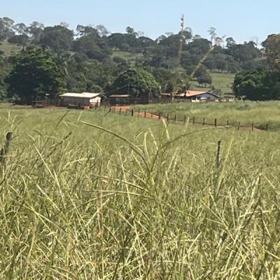 Ituiutaba/MG – Imóvel Rural com 38ha