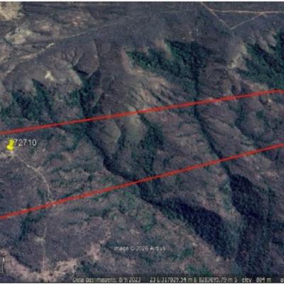 Lote de 47,33 Hectares