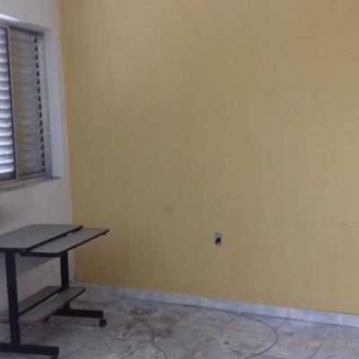 Novo Leilão de (biazonpamela)