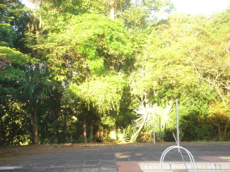 Foto ilustrativa 14 - Novo Leilão de (guicaldeira)