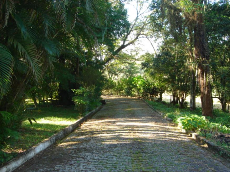 Foto ilustrativa 4 - Novo Leilão de (guicaldeira)