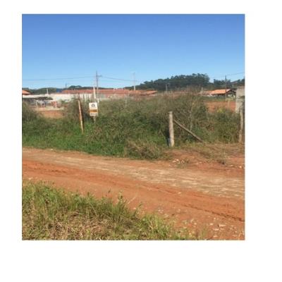 Novo Leilão de (Junkers)