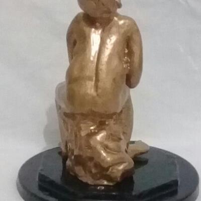 Novo Leilão de (Mr. Barros)