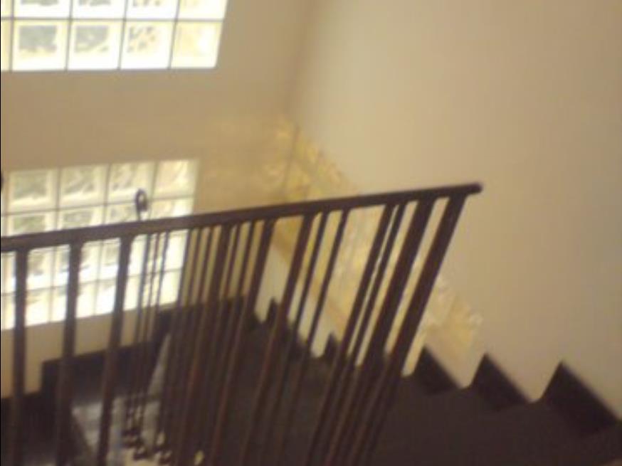 Foto ilustrativa 13 - Novo Leilão de (troleze)