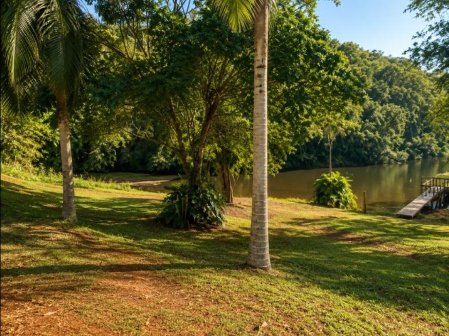 Foto ilustrativa 3 - Paraná (PR) – Terreno Rural com 16,9 hectares