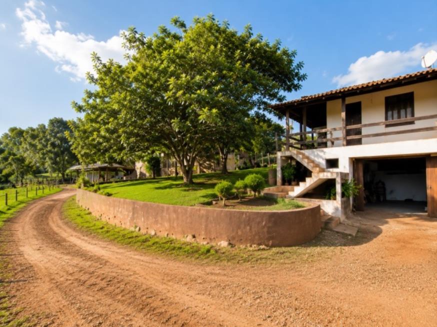 Foto ilustrativa 4 - Paraná (PR) – Terreno Rural com 16,9 hectares
