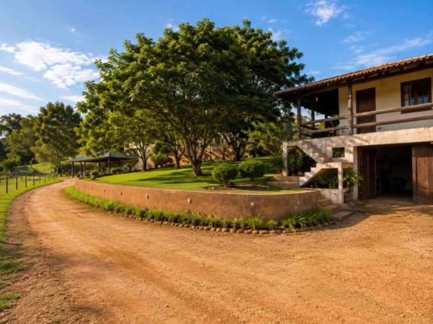 Foto ilustrativa 8 - Paraná (PR) – Terreno Rural com 16,9 hectares
