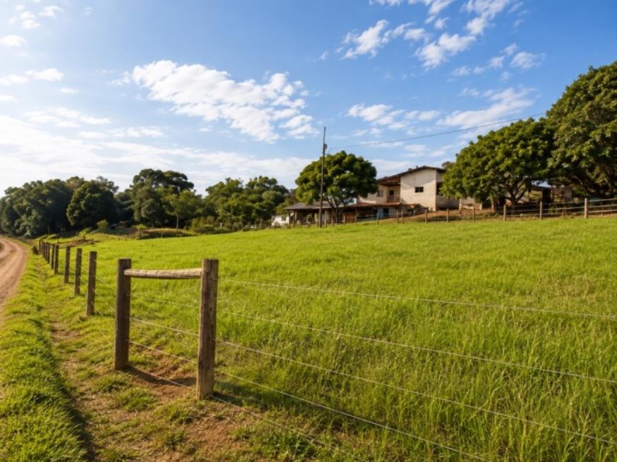 Foto ilustrativa 9 - Paraná (PR) – Terreno Rural com 16,9 hectares