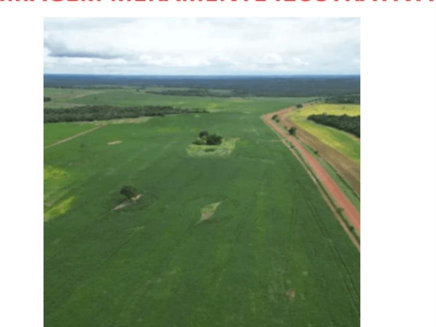 Foto ilustrativa 1 - Parte de área rural – 100 Ha – Nova Roma – GO