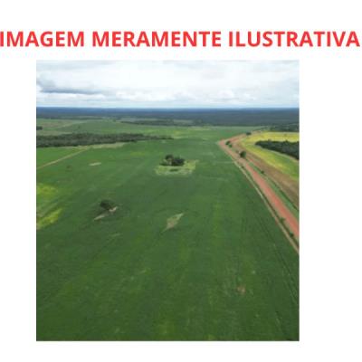 Parte de área rural – 100 Ha – Nova Roma – GO